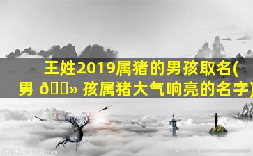 王姓2019属猪的男孩取名(男 🌻 孩属猪大气响亮的名字)
